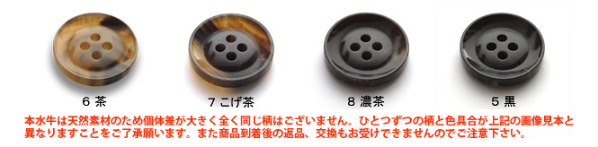 カラーサンプル